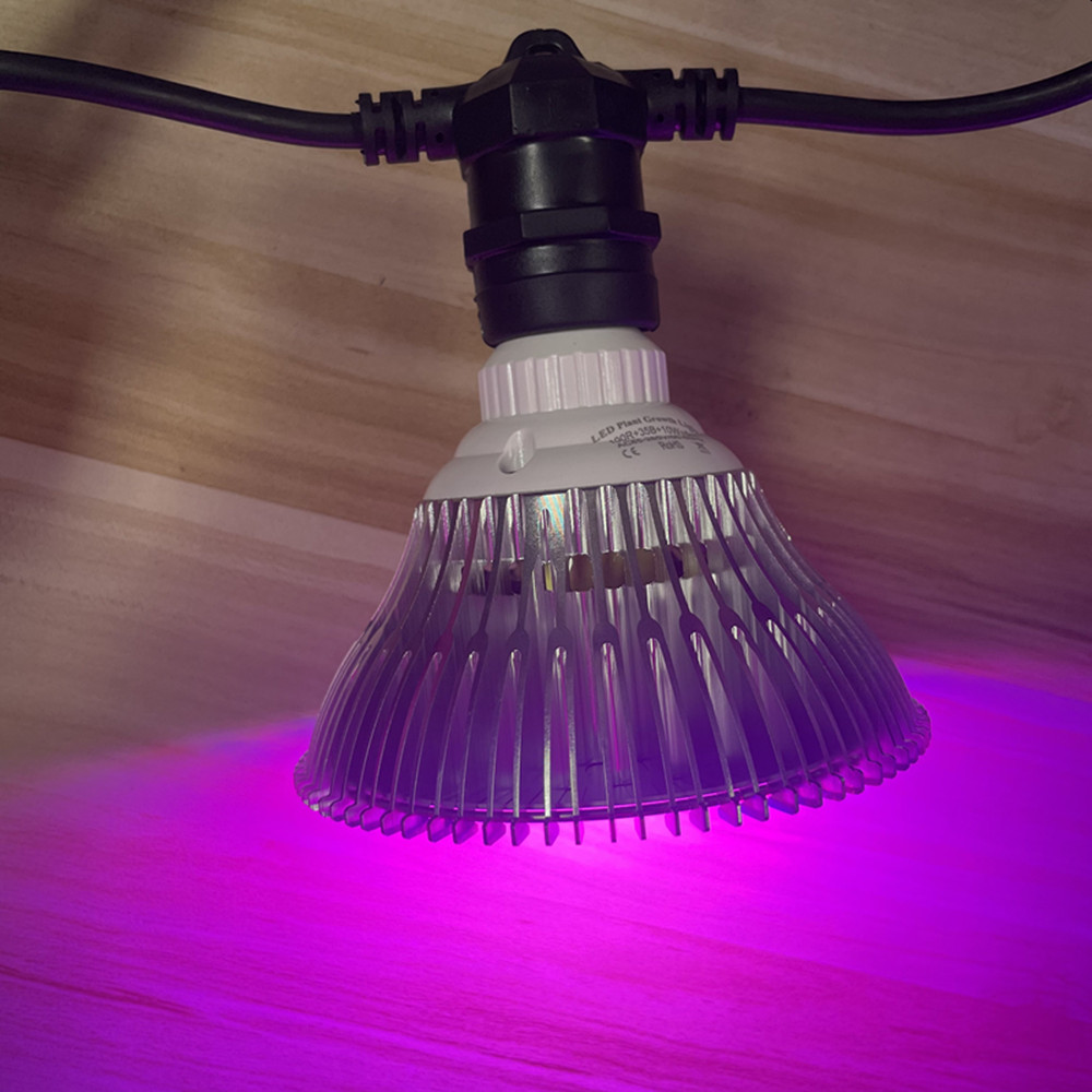 Светодиодная гирлянда 10 м, ко – обзор и цена Outdoor Lighting Effects